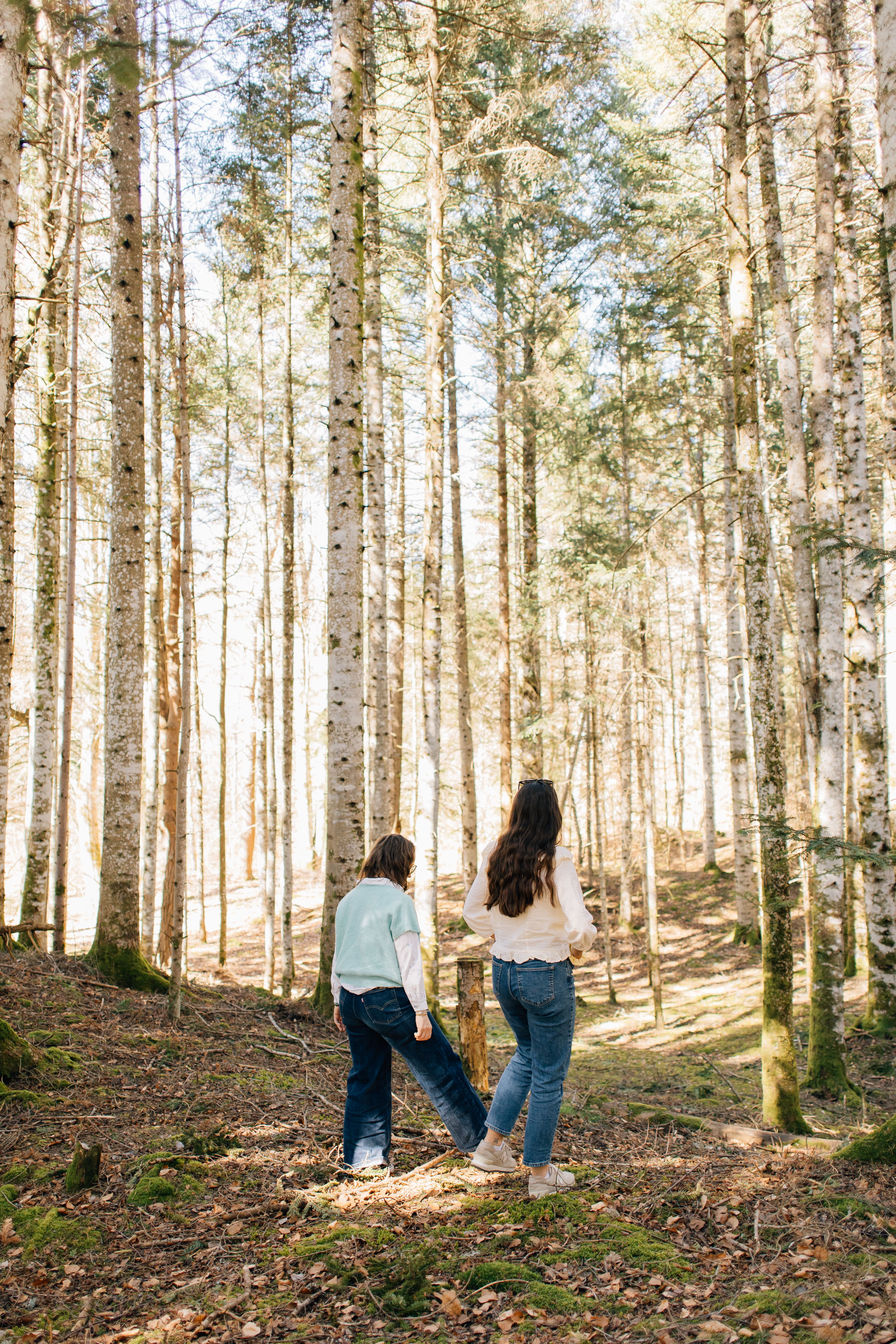 Séance de marche thérapeutique en forêt en Auvergne près d'Aydat